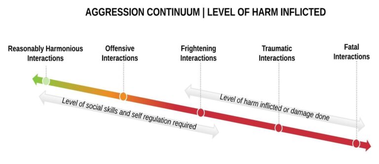Occupational Violence and Aggression (OVA) – Code Black Pyschology